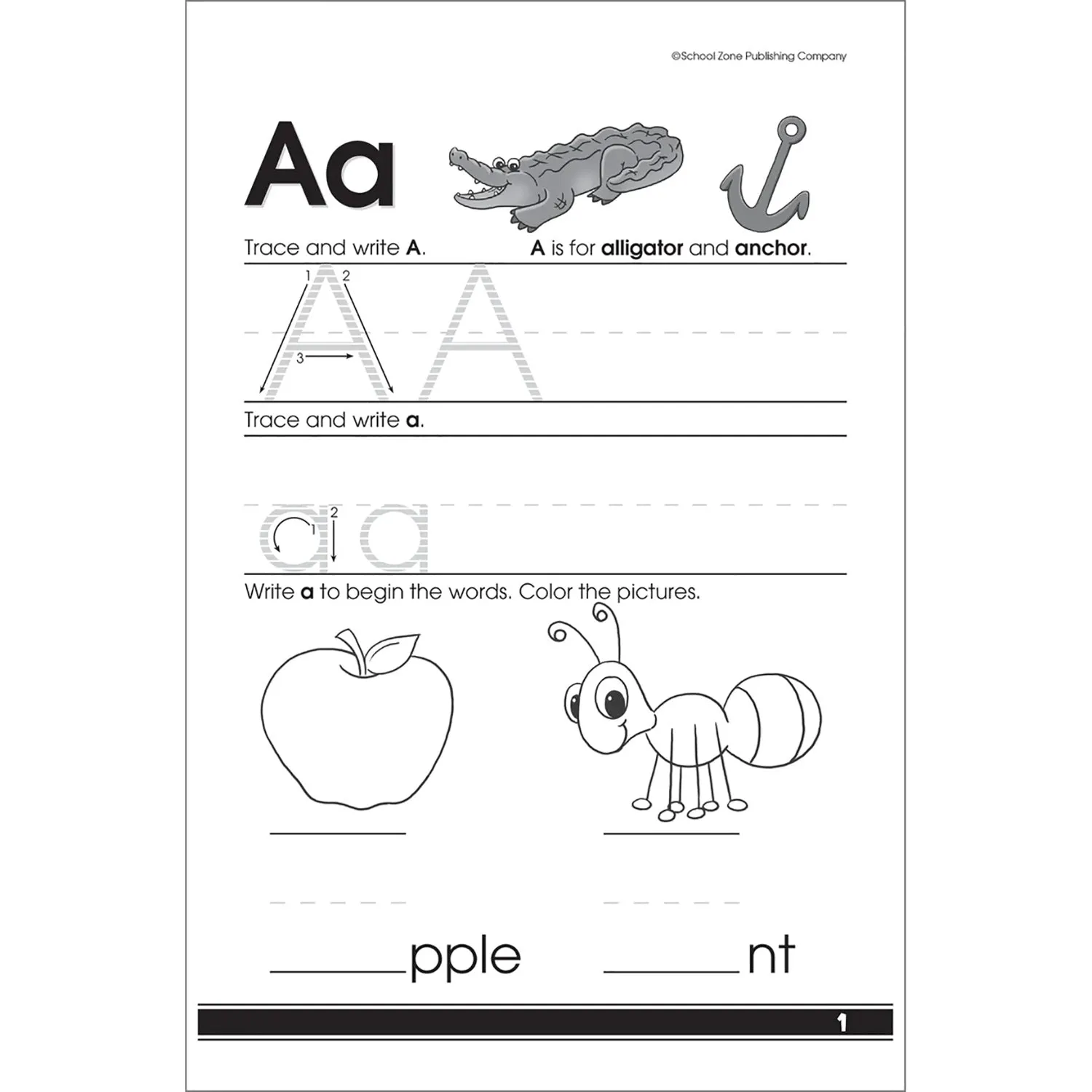 Learn the Alphabet Workbook 02741