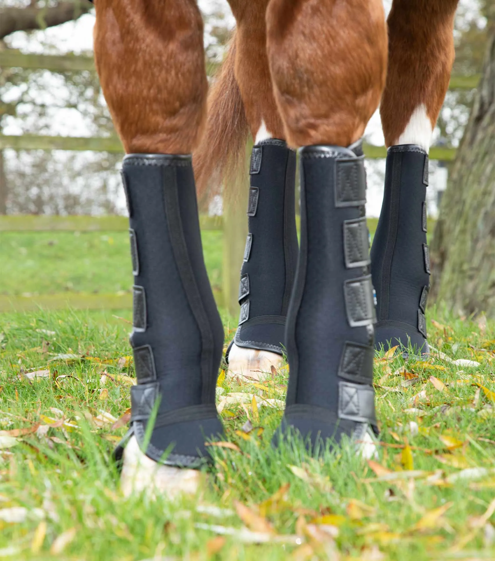 Turnout/ Mud Fever Boots